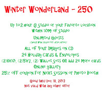 Winter Wonderland Mini Session - $250