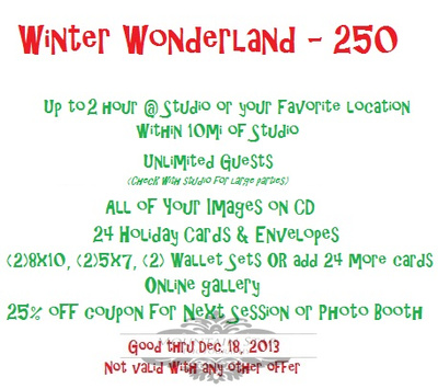 Winter Wonderland Mini Session - $250