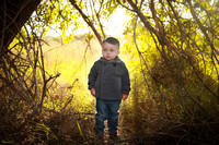 El Paso Family Children Photographer - Owen Turns 2!