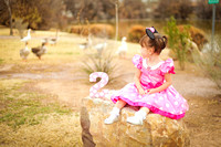 El Paso Children's Spring Mini Photographer - May's 2nd Birthday!