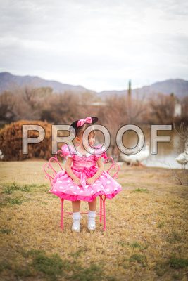 El Paso Holiday Mini Sessions Photographer Mountain Star Photogr
