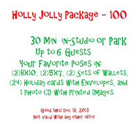 Holly Jolly Mini Session - $100