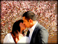 Engagement Wedding Photo Session El Paso Las Cruces e-session